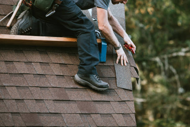 Best Local Roofing Companies  in Wayne, WV